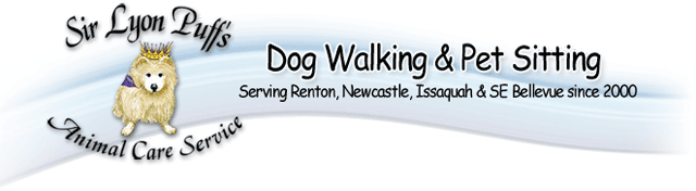 dog walking header